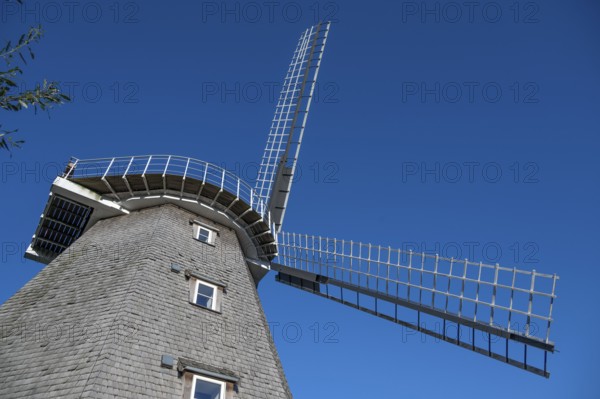 Historic windmill, now café, blue sky, Ahrenshoop, Darß, Mecklenburg-Western Pomerania, Germany