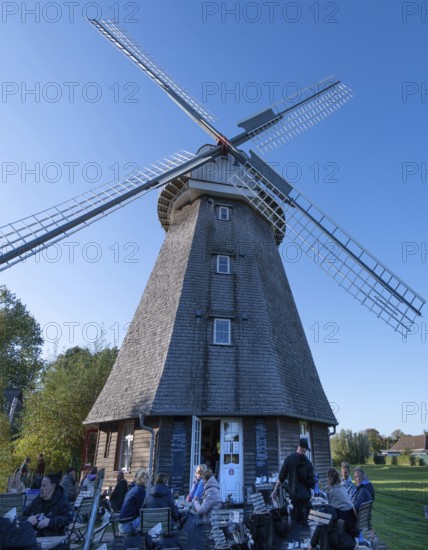 Café guests of a historic windmill, now café, Ahrenshoop, Darß, Mecklenburg-Western Pomerania, Germany