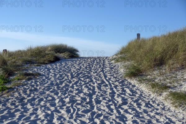 Sandweg zum Ostseestrand, Ahrenshoop, Darß, Mecklenburg-Western Pomerania, Germany