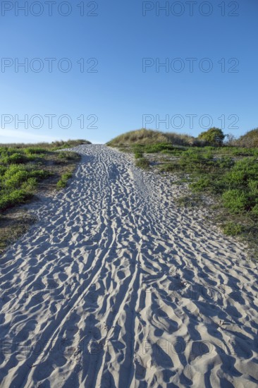 Sandweg zum Ostseestrand, Ahrenshoop, Darß, Mecklenburg-Western Pomerania, Germany