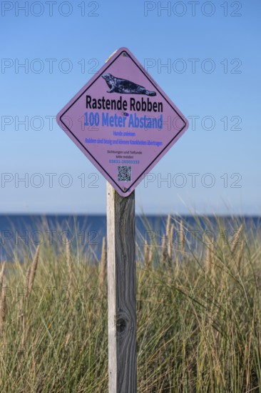 Sign, keep your distance from seals, on the beach on the Baltic Sea, Ahrenshoop, Darß., Mecklenburg-Western Pomerania, Germany