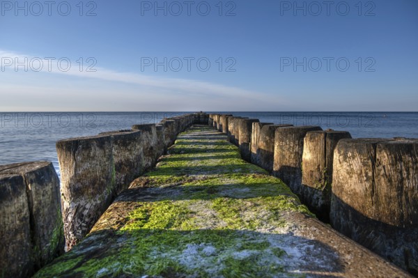 Grooves in the Baltic Sea, Ahrenshoop, Darß, Mecklenburg-Western Pomerania, Germany
