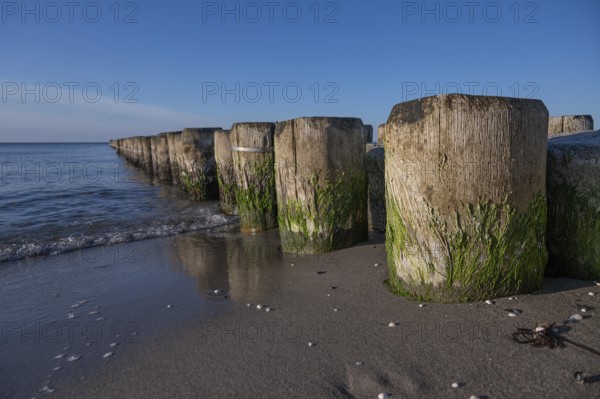 Grooves in the Baltic Sea, detail, Ahrenshoop, Darß, Mecklenburg-Western Pomerania, Germany