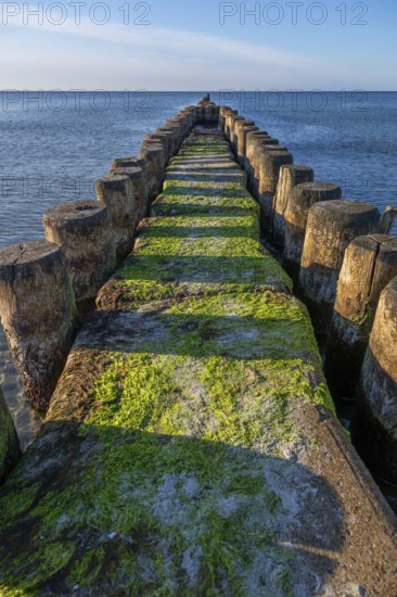 Grooves in the Baltic Sea, Ahrenshoop, Darß, Mecklenburg-Western Pomerania, Germany