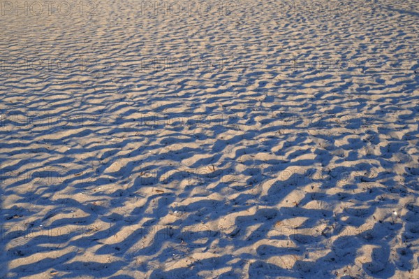Sand structures on the Baltic Sea beach in evening light, Ahrenshoop, Darß, Mecklenburg-Western Pomerania, Germany