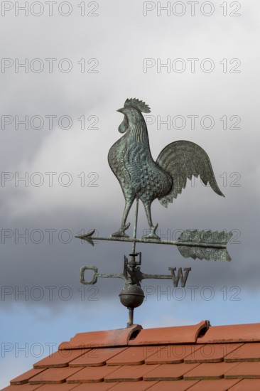 Weather vane with metal faucet on roof, cloudy sky, Baden-Württemberg, Germany