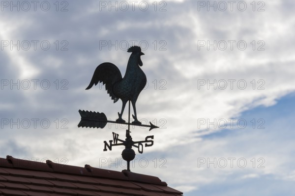 Weather vane on roof against cloudy sky, characterful atmosphere, Baden-Württemberg, Germany