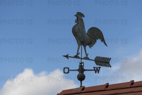 Weather vane on roof against clear blue sky, peaceful atmosphere, Baden-Württemberg, Germany