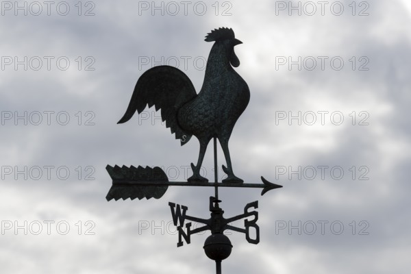 Silhouetted metal weather vane against a cloudy sky, Baden-Württemberg, Germany