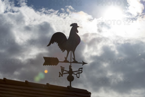 A weather vane in the sun with dark clouds in the sky as a background, Baden-Württemberg, Germany
