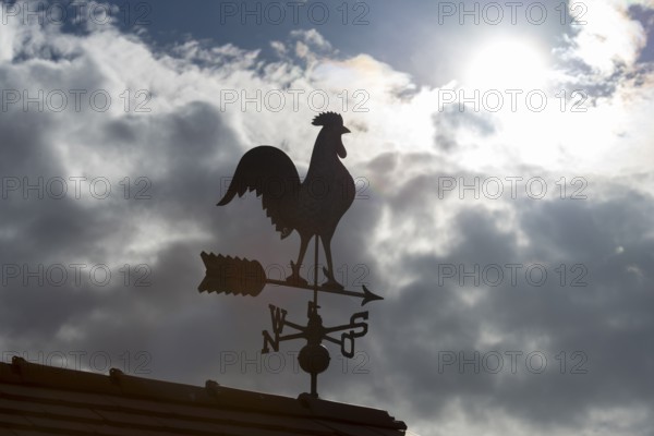 Sunlit weather vane in front of dramatic cloud formations, Baden-Württemberg, Germany