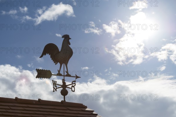 A weather vane on a roof in sunshine against a cloudy sky, Baden-Württemberg, Germany