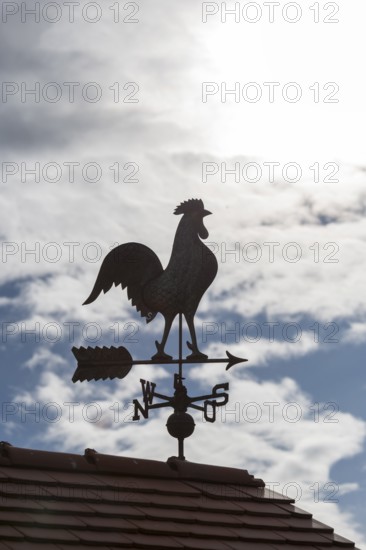 Silhouetted weather vane on a roof with clouds and sky in the background, Baden-Württemberg, Germany