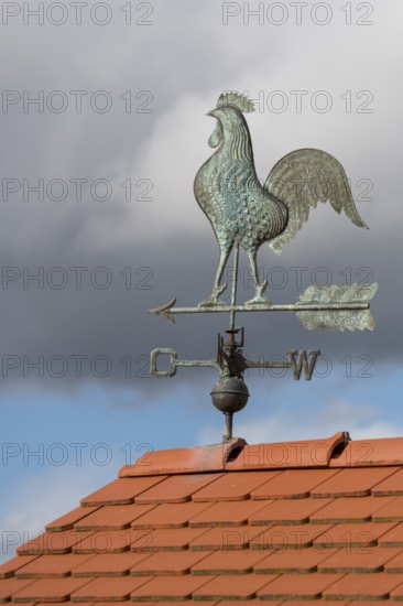 Metal weather vane with rooster on a tiled roof against a blue sky, Baden-Württemberg, Germany