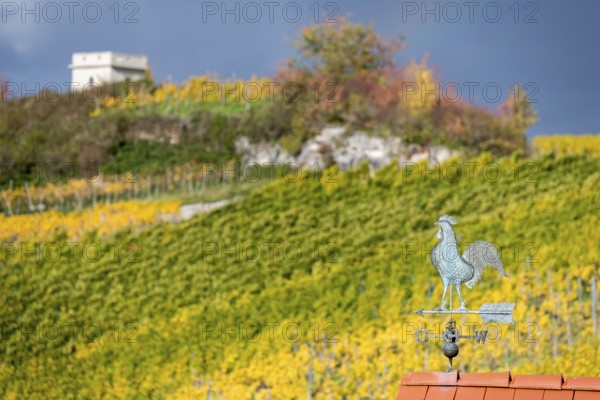 Weather vane on a roof in front of an autumnal vineyard and overcast sky, Baden-Württemberg, Germany