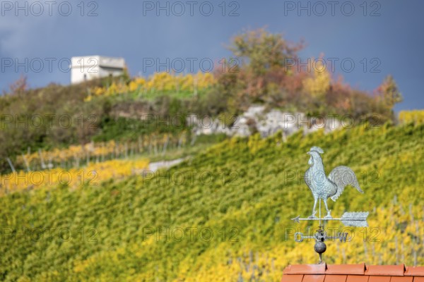 Weather vane in front of an autumnal vineyard and hills, colorful colors, Baden-Württemberg, Germany