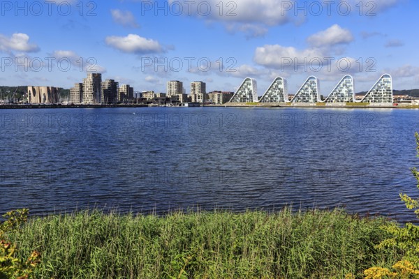 View across Skyttehusbugten Bay to the wave-shaped residential complex Bølgen, Die Welle, architect Henning Larsen, modern architecture, Vejle, Vejle Fjord, Jutland, Denmark