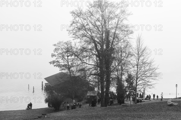 Bootshaus im fog, Historisches Hotel La Villa, black and white photo, am Starnberger See, Niederpöcking, Upper Bavaria, Bavaria, Germany