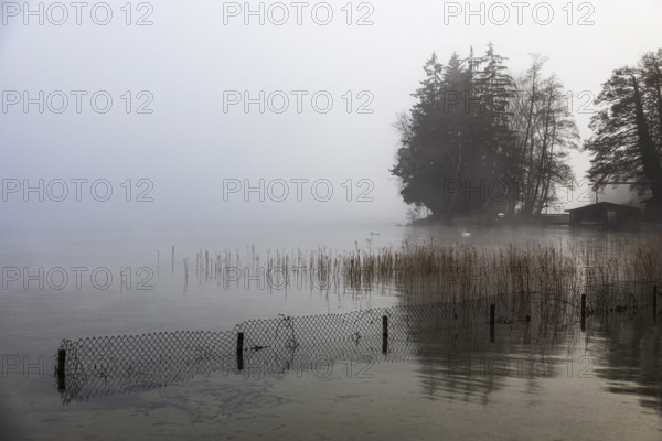 Reeds and fences in foggy Starnberger See, leaves and conifers in the back, Historisches Hotel La Villa, Niederpöcking, Upper Bavaria, Bavaria, Germany