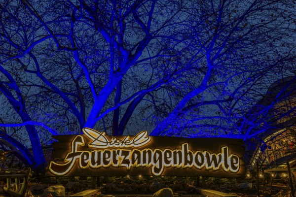 Sales stand for Feuerzangenbowle, above a deciduous tree illuminated with blue light, Christkindlmarkt, Rindermarkt, Munich, Upper Bavaria, Germany