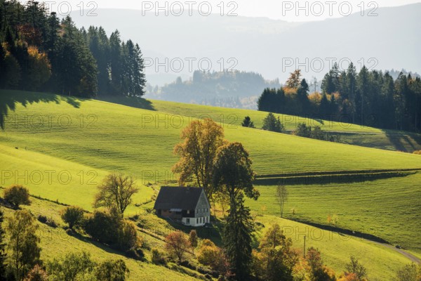 Near St. Peter, Southern Black Forest, Black Forest, Baden-Württemberg, Germany