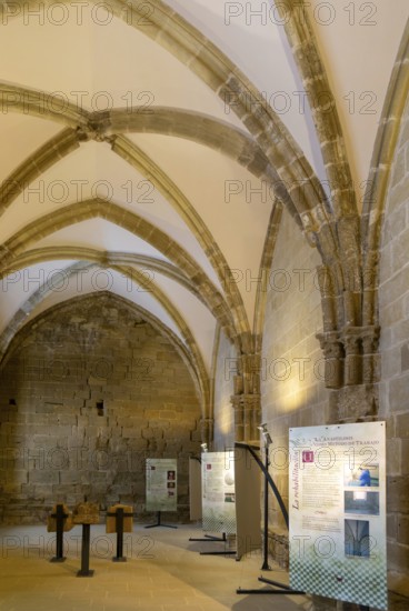 Interior of Palace of Pedro IV ruin medieval village of Uncastillo, Cinco Villas, Zaragoza province, Aragon, Spain