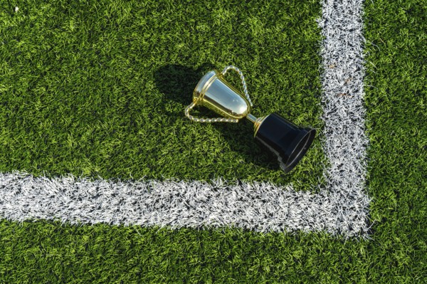 Golden champion trophy lying on the green artificial grass of a football or soccer field with white boundary lines, symbolizing win, success, achievement, and competition