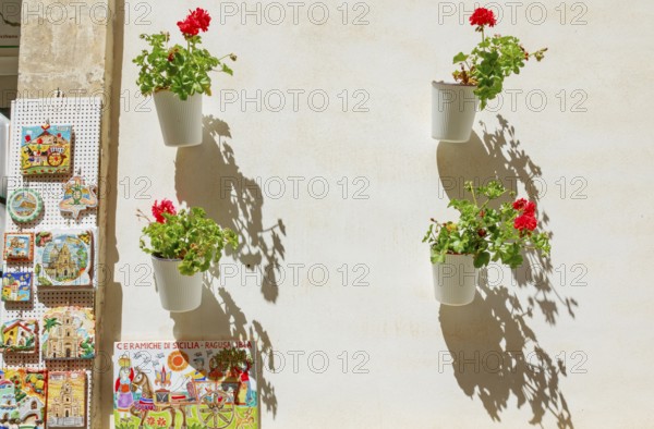 Flowers pots, Ragusa Ibla, Ragusa province, Sicily, Italy