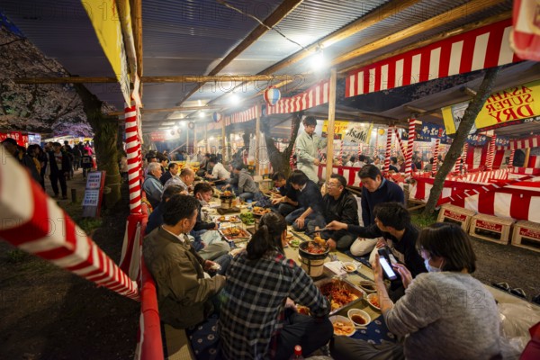 Cherry Blossom Festival, Hanami, Japanese eating grilled food at a long table, evening mood, Hirano Shrine, Kyoto, Japan