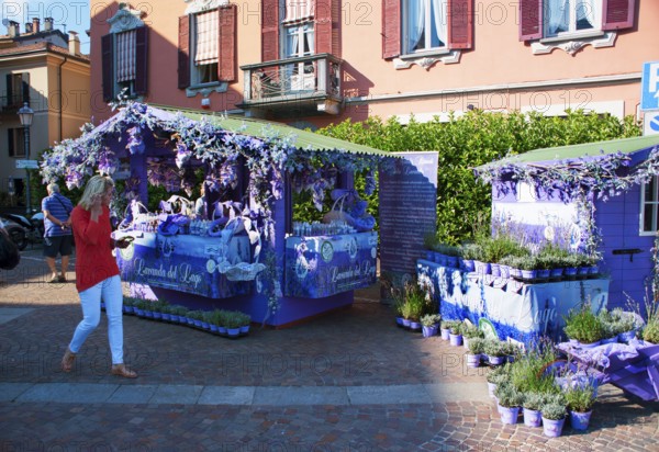 Menaggio, beautiful tourist town on the western shore of Lake Como, market with lavender products, Como province, Lombardy, Italy