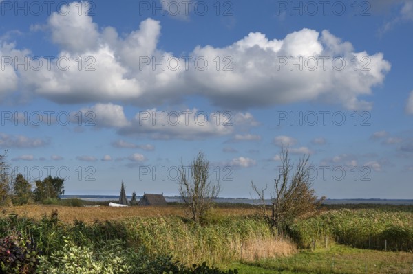View of the lagoon with a strip of reeds and a fishing hut, Ahrenshoop, Darß, Mecklenburg-Western Pomerania, Germany
