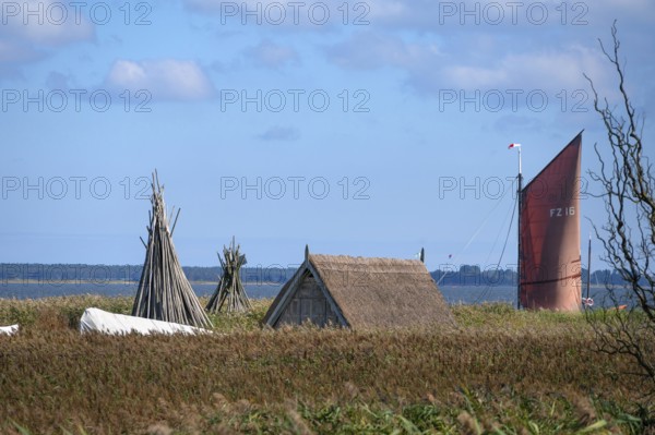 Zeesboot at a dock in the lagoon, fishing hut in the reed in front, Ahrenshoop, Darß, Mecklenburg-Western Pomerania, Germany