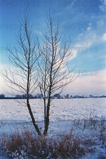 Frozen Elbe, Bleckede, Lower Saxony, Germany, January 03, 1997, vintage, retro, old, historic