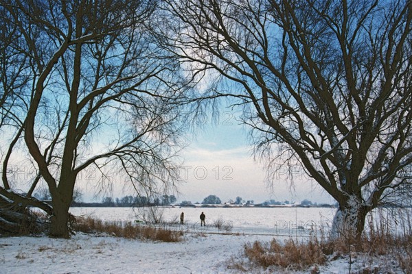 People walk across ice rink, trees, frozen Elbe, Bleckede, Lower Saxony, Germany, January 03, 1997, vintage, retro, old, historic