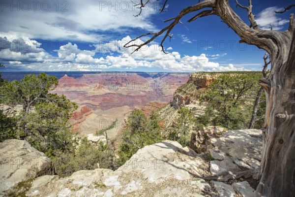 Beautiful landscape of the grand canyon, arizona