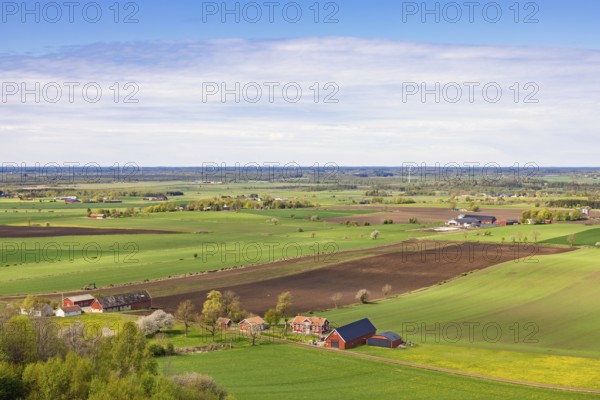 Aerial view of a rural landscape view with green fields and farms in a plain landscape with a view towards the horizon on a sunny spring day, Sweden