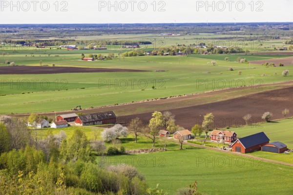 View of a rural landscape view with green fields and farms with a view towards the horizon a sunny spring day with budding fruit trees, Sweden