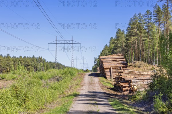 Timber stacks by a forest road next to a high-voltage power line in a pine woodland a sunny summer day with clear blue sky, Sweden