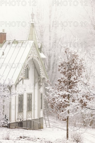 A cold foggy winter day with a beautiful idyllic wooden house with hoarfrost and snow in the garden, Sweden