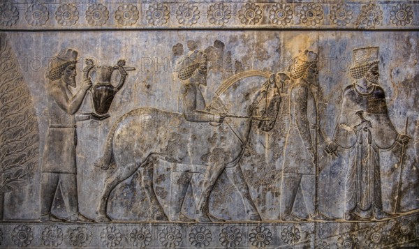 Relief detail of the delegation of peoples bringing gifts to Darius on the stairs of the Apadana Palace, Persepolis