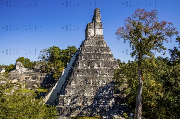 Temple 1, Temple of the Great Jaguar, Tikal, largest Mayan ceremonial complex