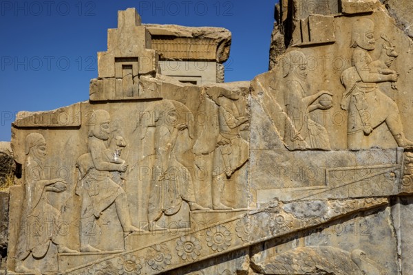 Relief detail, gifts brought to Darius the Great, staircase of the Darius Palace, Persepolis, Persepolis, Iran