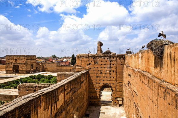 161/Stork nests in the ruins of Palais el-Badi