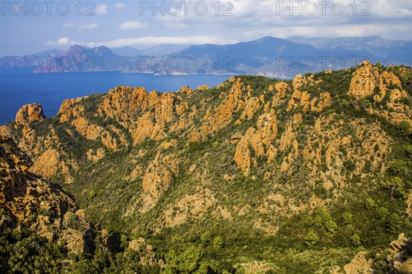 Calanche, bizarre rock formations 400 m above sea level, UNESCO World Heritage Site, Corsica, Piana, Corsica, France