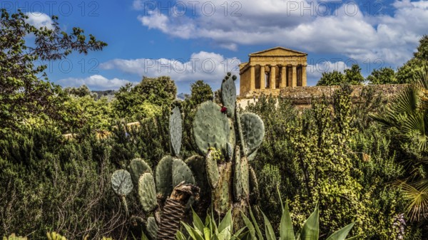 Temple of Concordia, 425 BC, one of the best preserved temples, Valley of the Temples, Agrigento, Sicily, Italy
