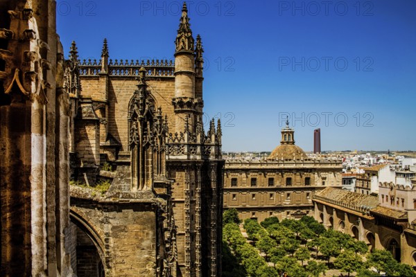 View of the cathedral with the orange courtyard from the Giralda, Seville, Seville, Andalusia, Spain