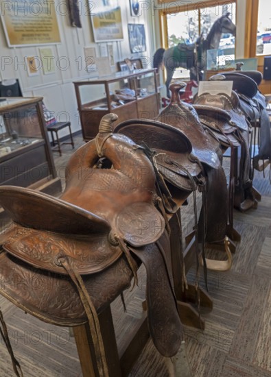 Elko, Nevada - Saddles on display at the Cowboy Arts & Gear Museum