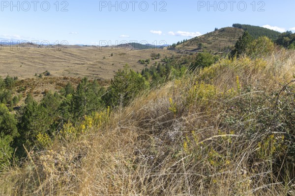 Countryside landscape view from Puerto de Sos hills south of Sos del Rey Catolico, Cinco Villas district, Zaragoza province, Aragon, Spain