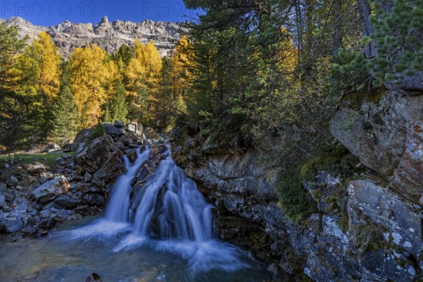 Waterfall, river, larch forest, autumn color, autumn, mountains, morning light, Morteratsch Valley, Engadin, Switzerland