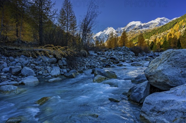 River, larch forest, autumn color, autumn, mountains, glaciers, morning light, Morteratsch Valley, Morteratsch Glacier, Engadin, Switzerland